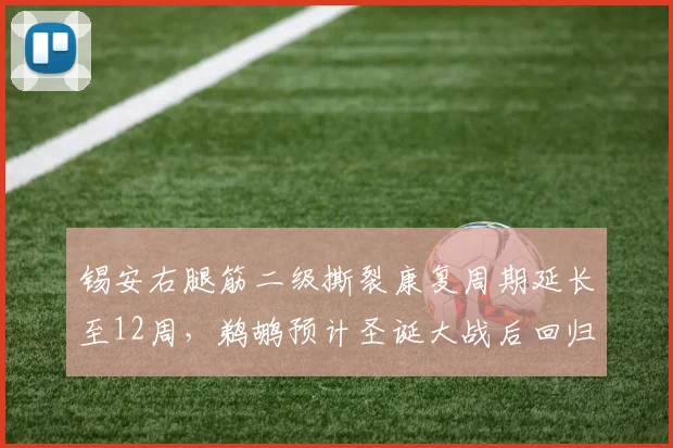 锡安右腿筋二级撕裂康复周期延长至12周,鹈鹕预计圣诞大战后回归